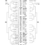 2017maikoのサムネイル